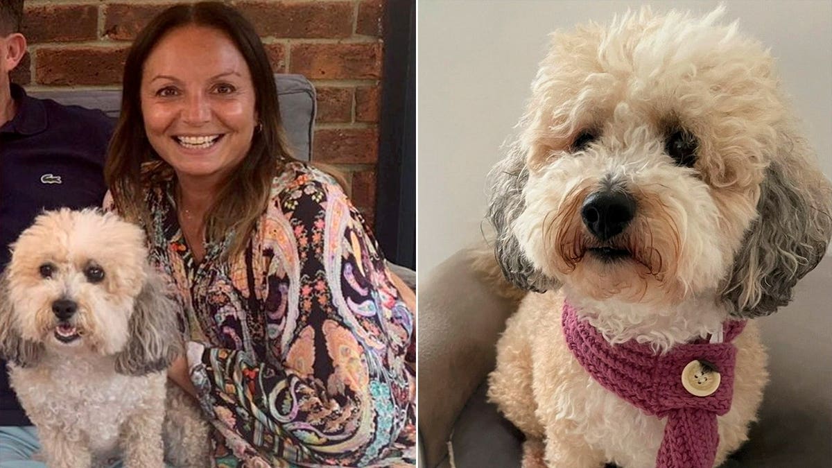 Woman and Dog Both Beat Breast Cancer Together - Image 3