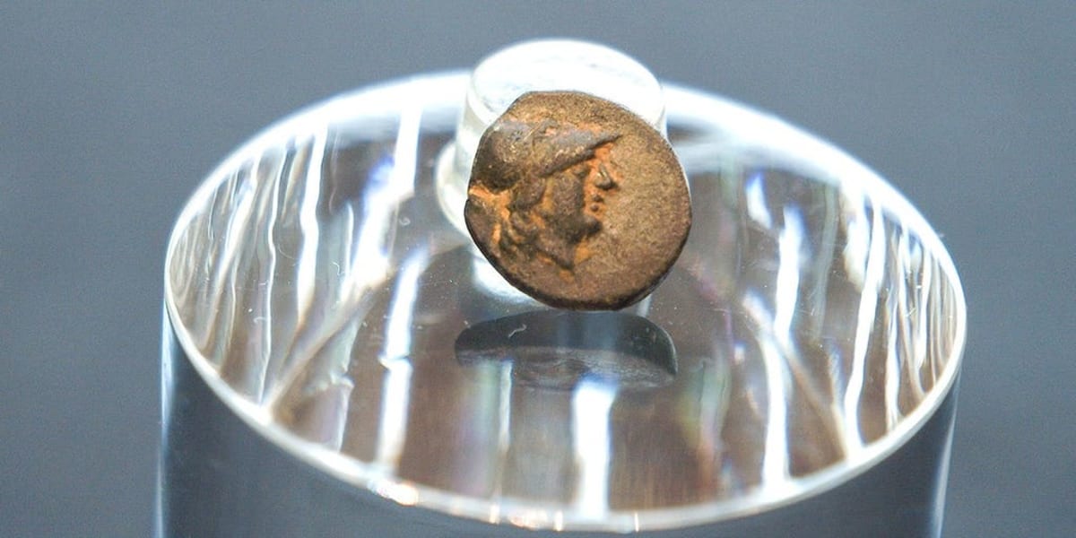 Berlin Teen Finds First Ancient Greek Coin in City History - Image 2