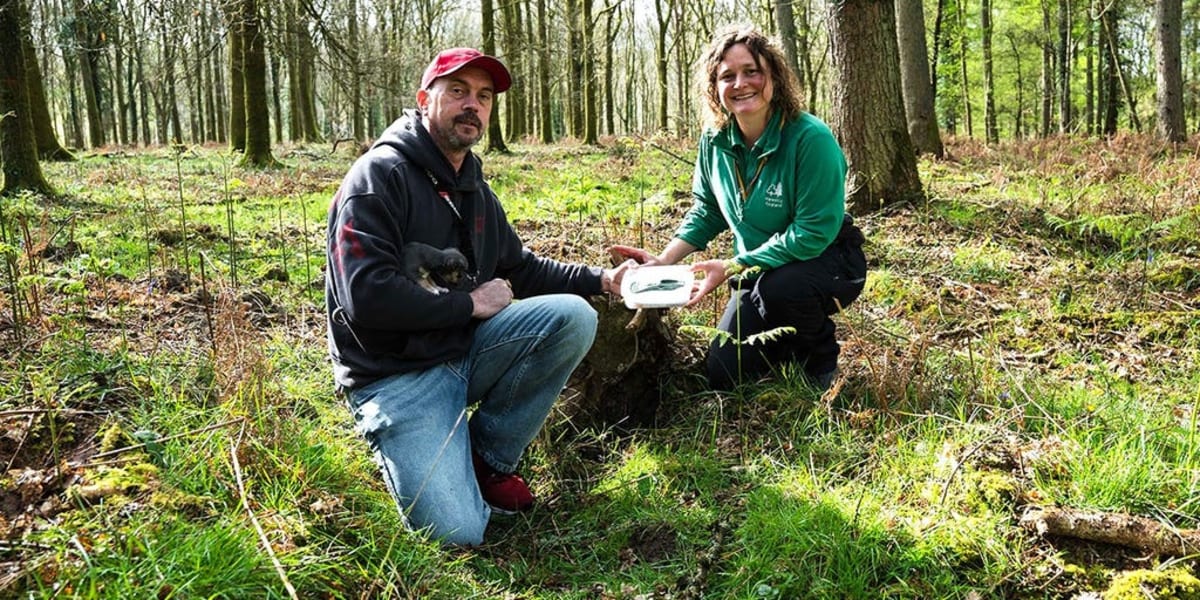 Dog Walker Finds 3,000-Year-Old Bronze Axe in England - Image 2