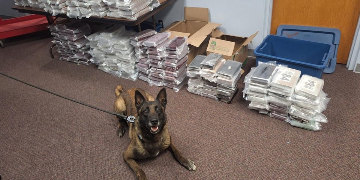 K9 Gable Sniffs Out 525 Pounds of Cocaine in Nebraska - Image 2