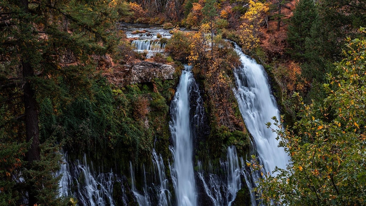 California's Burney Falls Gets Reservation System to Save Park - Image 5