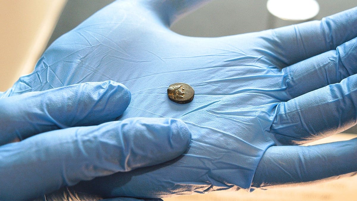 Berlin Teen Finds First Ancient Greek Coin in City History - Image 3
