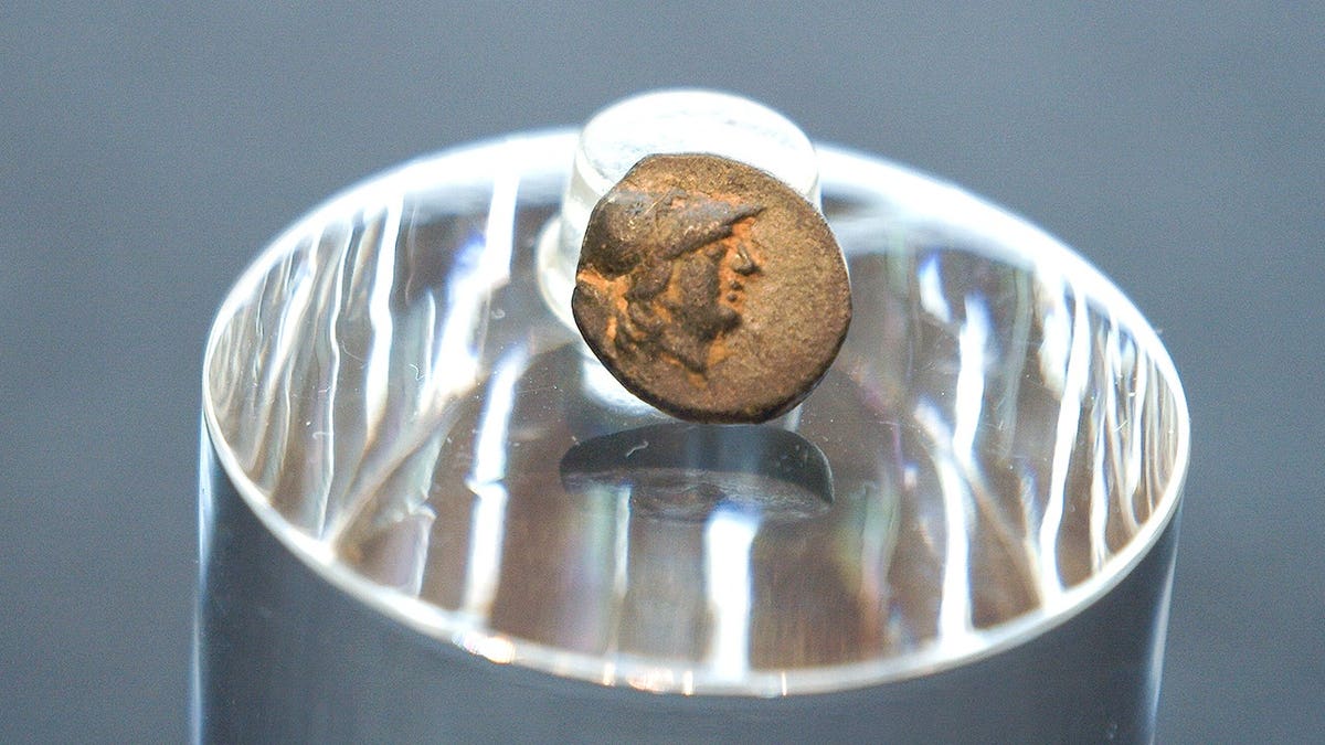 Berlin Teen Finds First Ancient Greek Coin in City History - Image 4