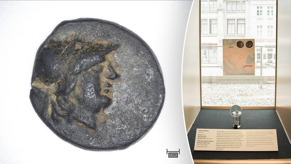 Berlin Teen Finds First Ancient Greek Coin in City History - Image 5