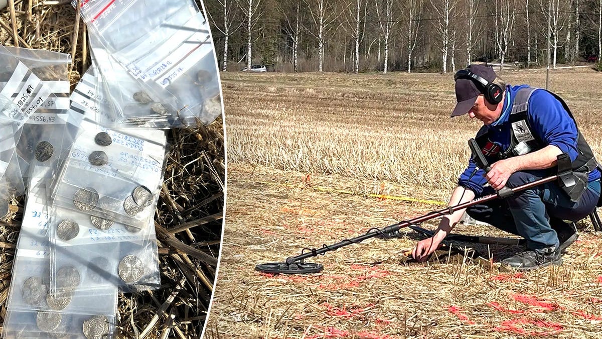 Norway Hobbyists Find 2,970 Viking Coins in Record Hoard - Image 5