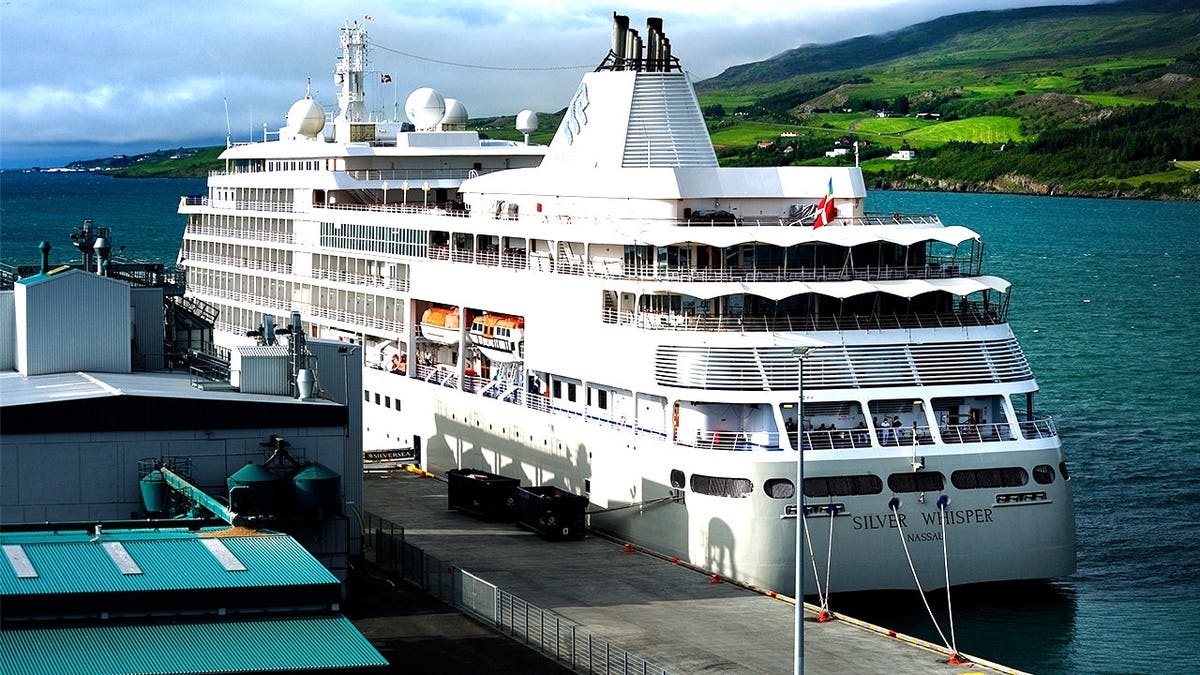 Luxury Cruise Battles 7-Hour Search to Save Injured Sailor - Image 3
