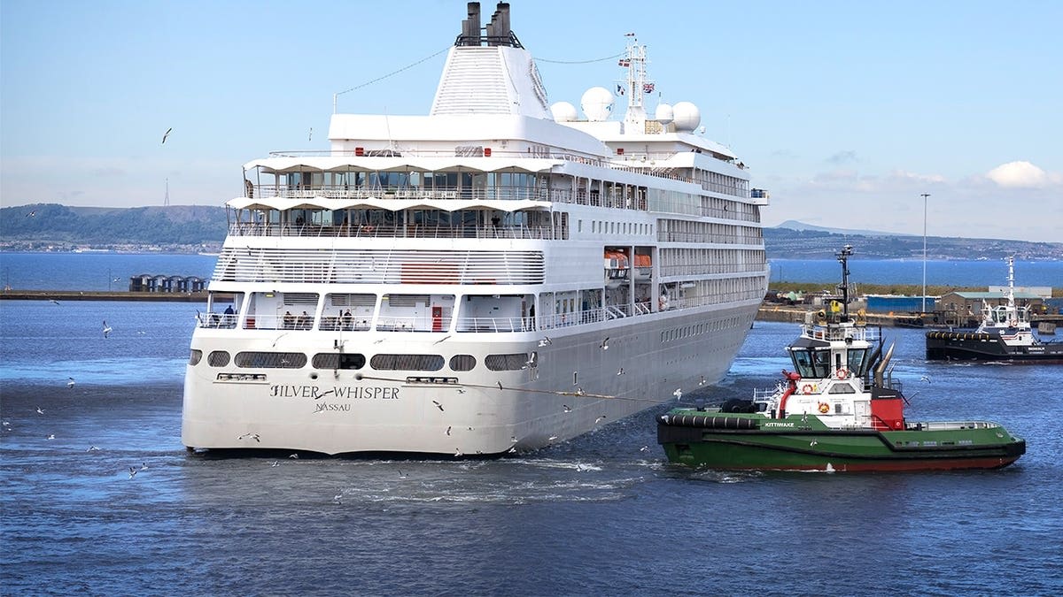 Luxury Cruise Battles 7-Hour Search to Save Injured Sailor - Image 4