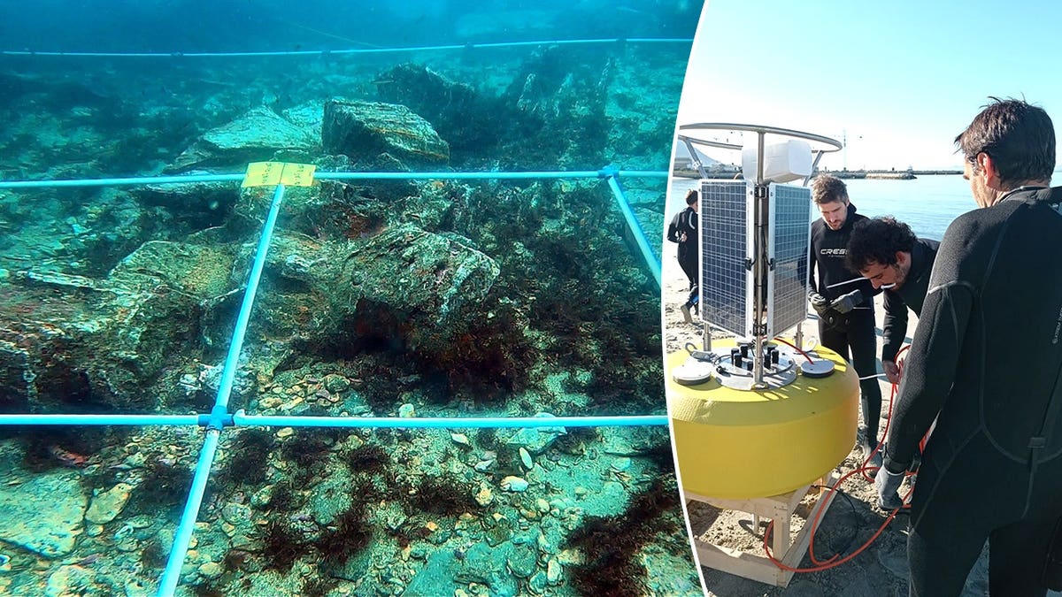 Researchers Find 150 Ancient Shipwrecks in Gibraltar Bay - Image 3