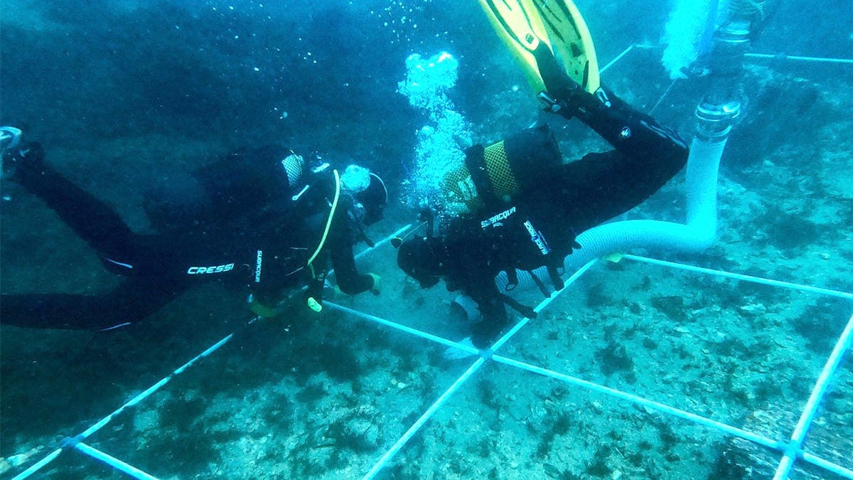 Researchers Find 150 Ancient Shipwrecks in Gibraltar Bay - Image 4