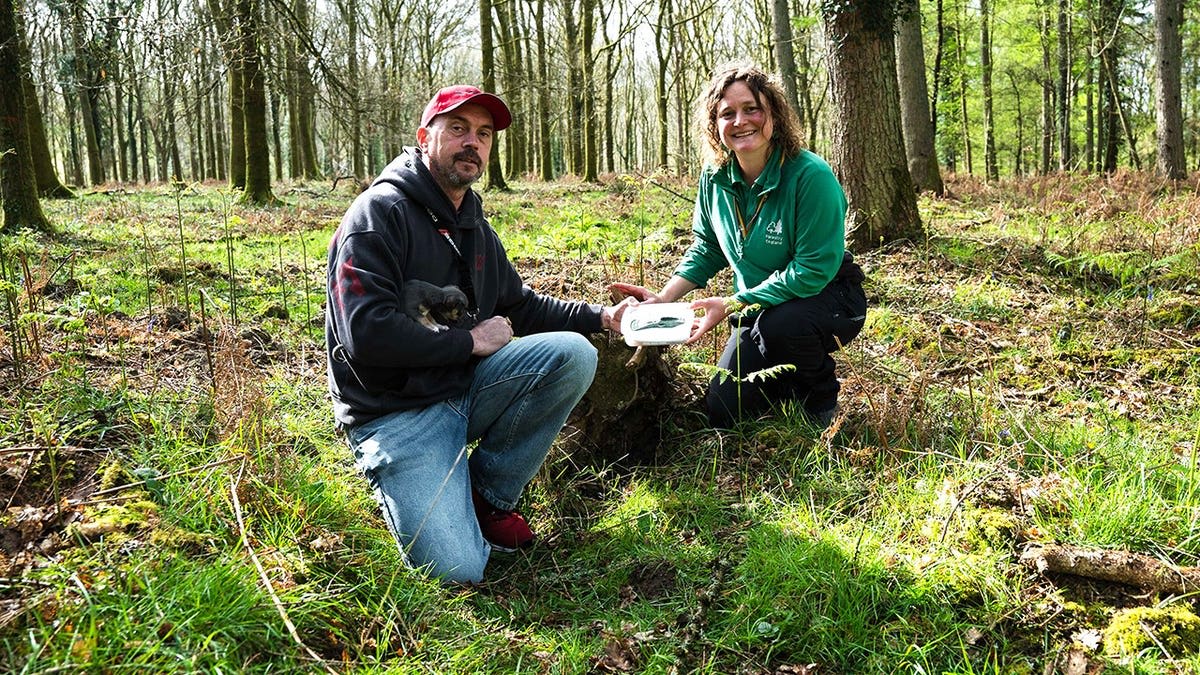 Dog Walker Finds 3,000-Year-Old Bronze Axe in England - Image 3
