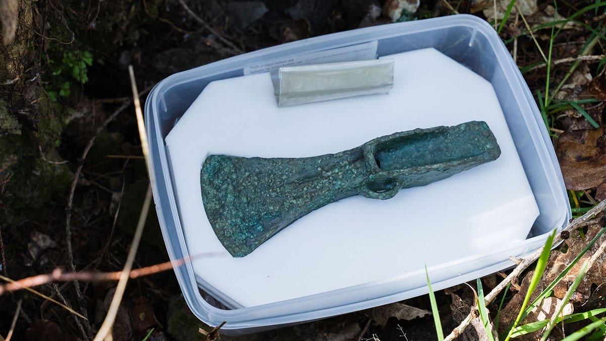Dog Walker Finds 3,000-Year-Old Bronze Axe in England - Image 4