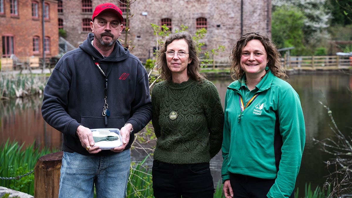 Dog Walker Finds 3,000-Year-Old Bronze Axe in England - Image 5