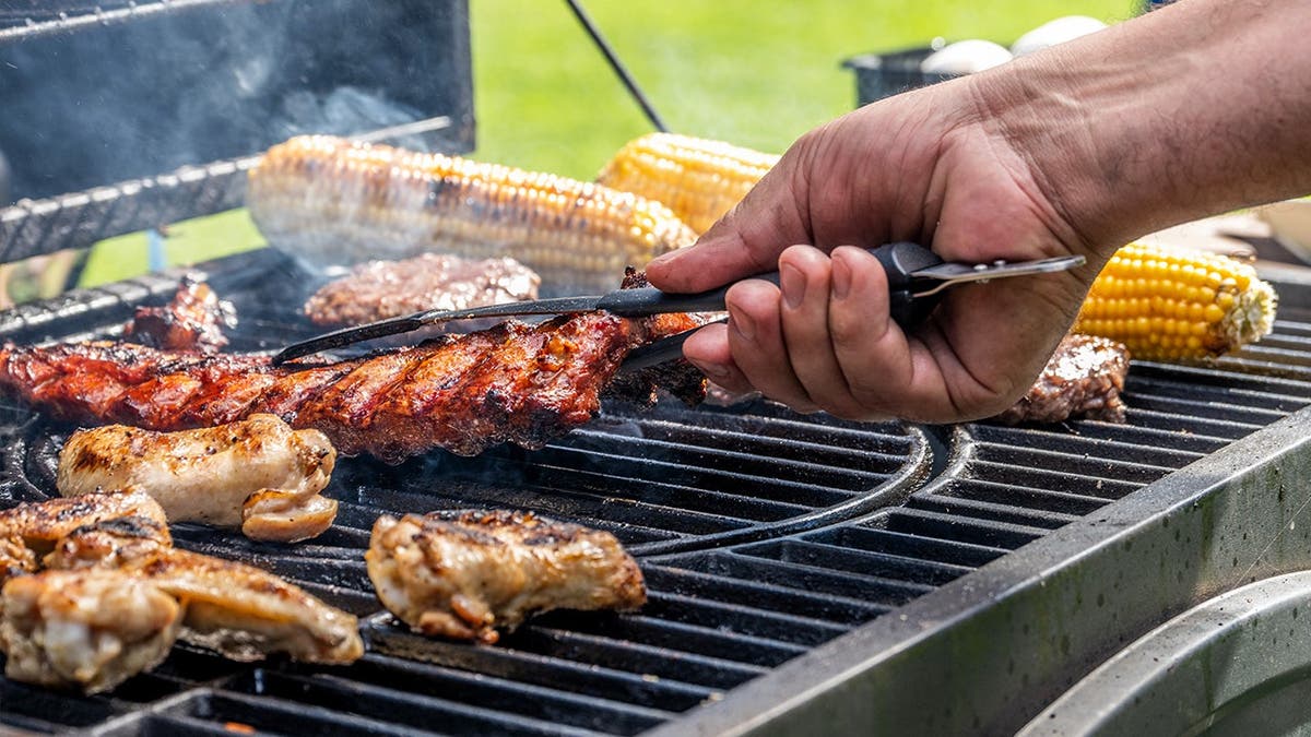 Fox Caught Red-Pawed With Hot Dogs in Alberta BBQ Heist - Image 3