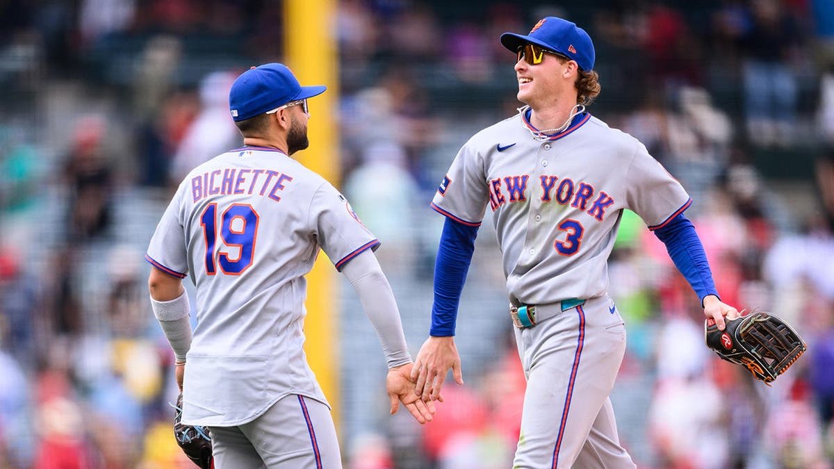 Mets Rookie's Diving Catch Saves Game in Ninth Inning - Image 3