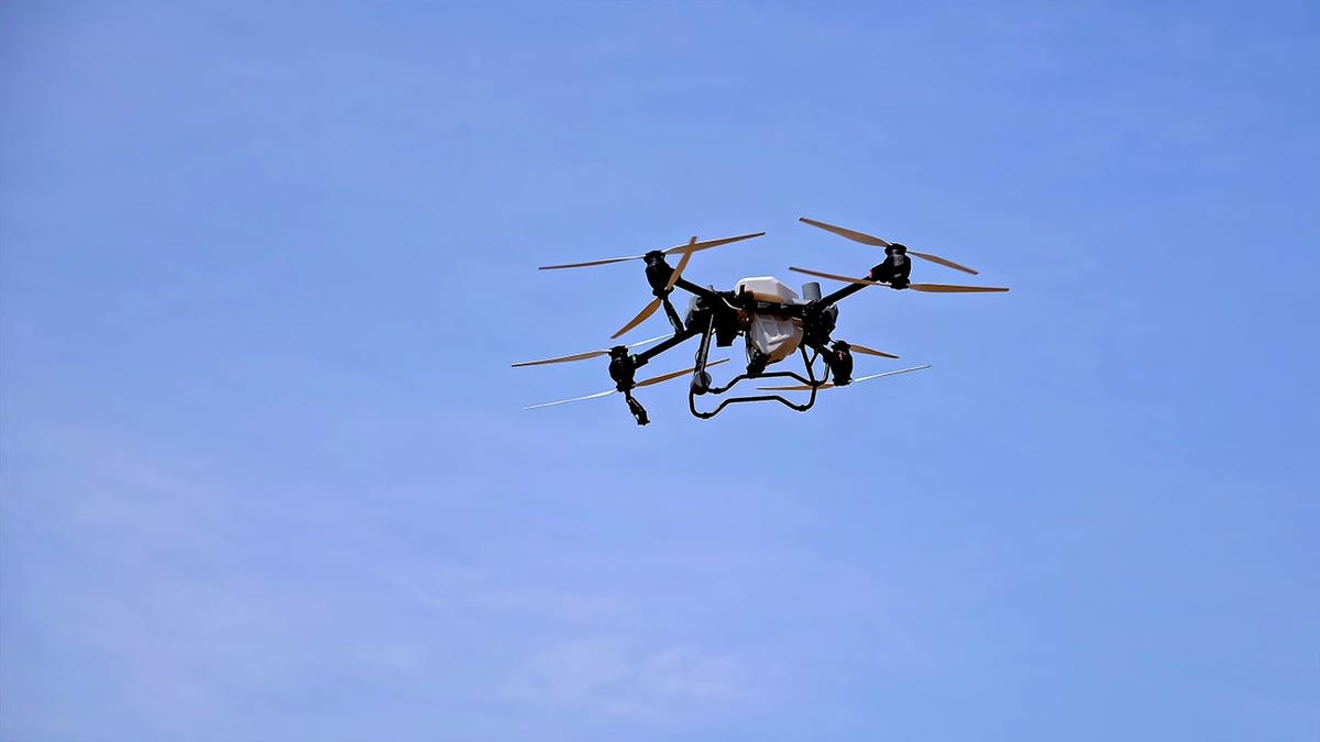 Pittsburgh's July 4 Drone Show Reimagines Night Sky - Image 4
