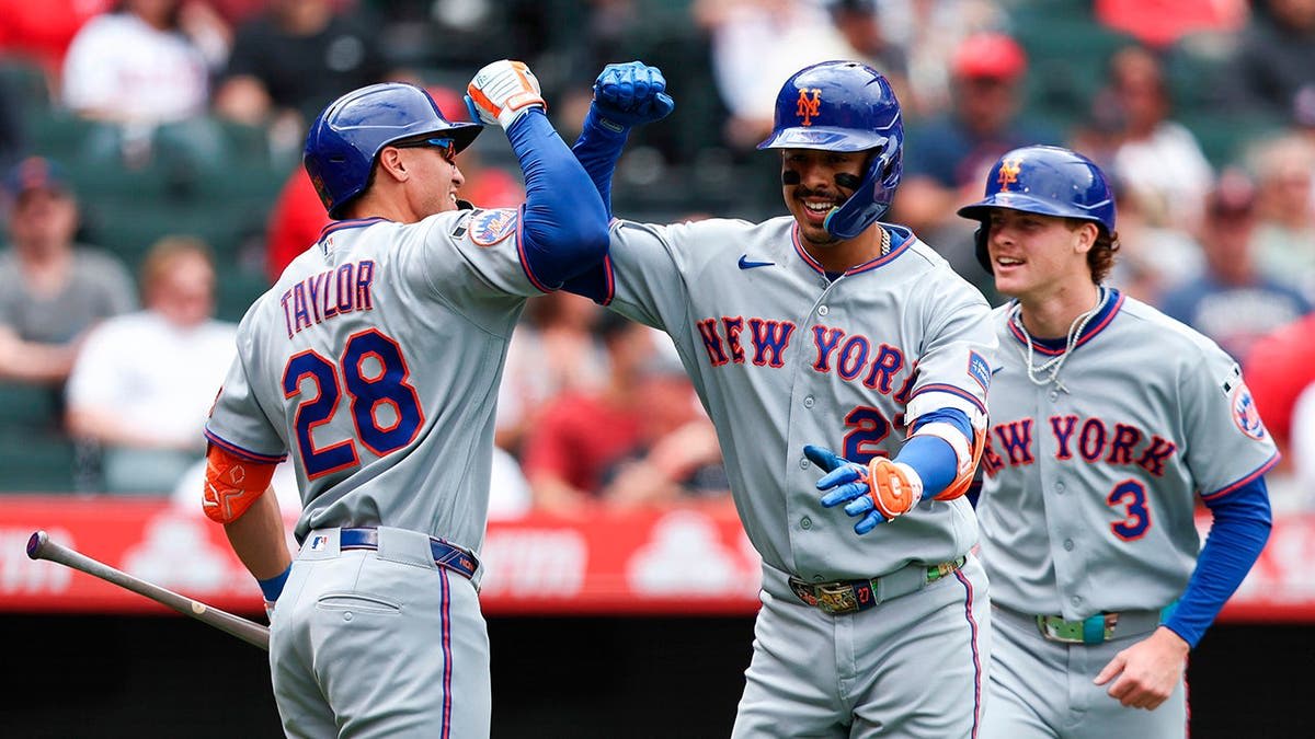 Mets Rookie's Diving Catch Saves Game in Ninth Inning - Image 5