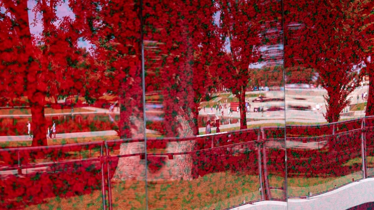 Robert Griffin III Honors 600,000 Fallen at DC Memorial - Image 4