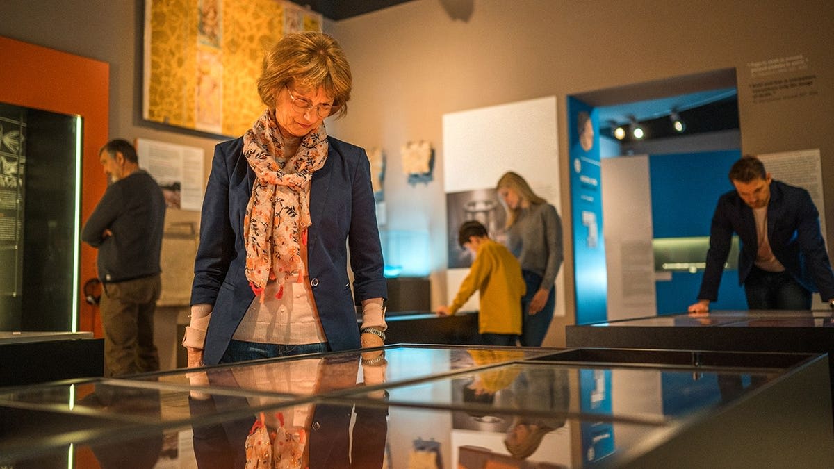 Museum Visits Linked to Slower Aging, Study Finds - Image 4
