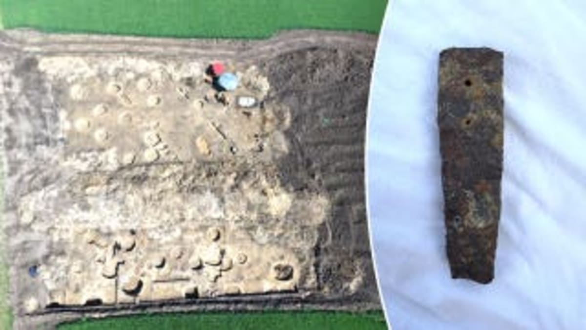 Homer's Iliad Found on Egyptian Mummy After 1,600 Years - Image 4