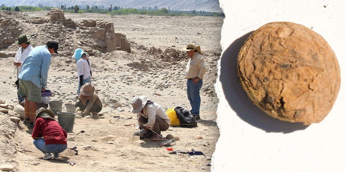 500-Year-Old Freeze-Dried Potatoes Found in Perfect Shape - Image 2