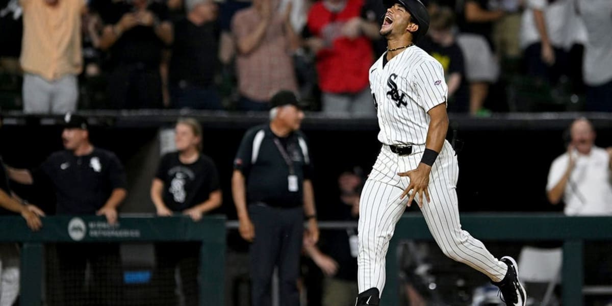 Rookie Hits Walk-Off Homer in MLB Debut for White Sox - Image 2