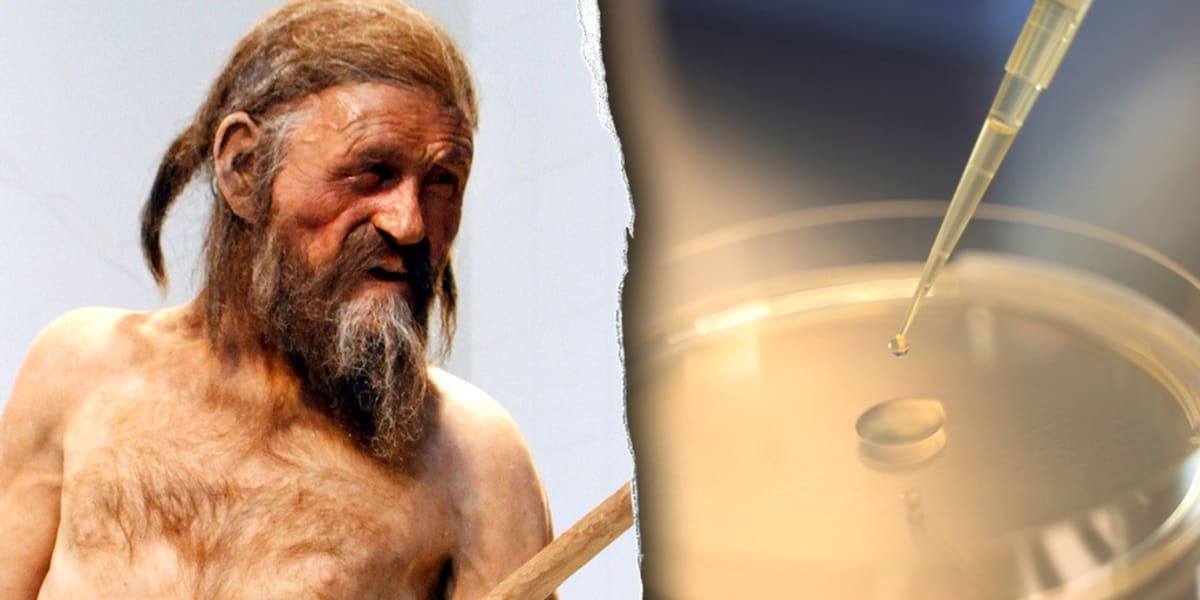 5,300-Year-Old Mummy Still Hosts Living Microbes - Image 2