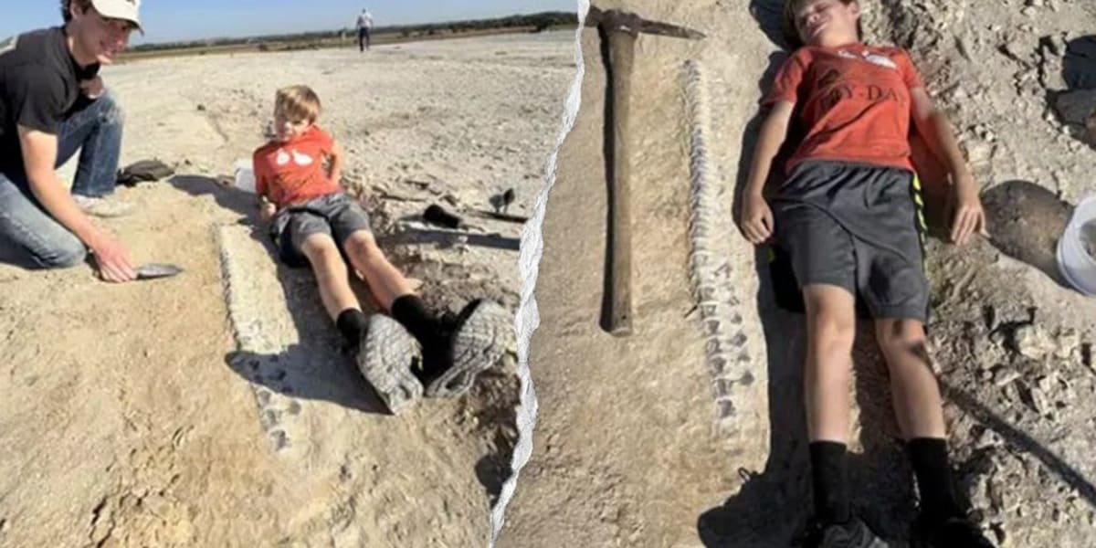 11-Year-Old Finds 85-Million-Year-Old Sea Monster in Kansas - Image 2