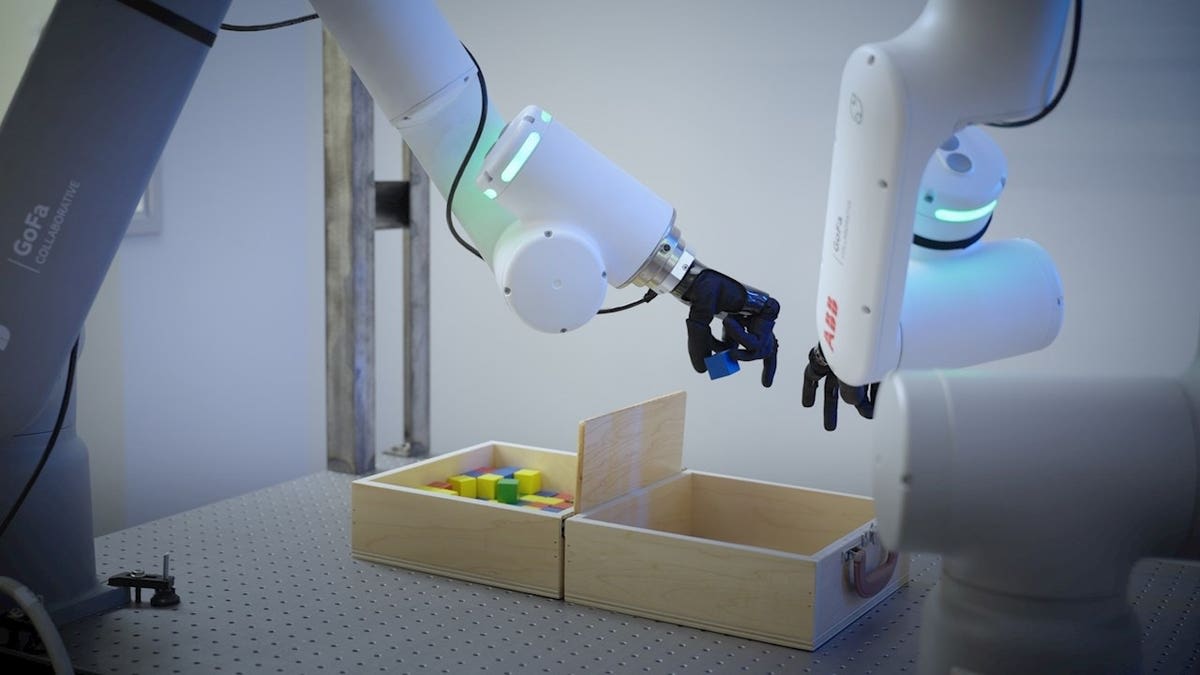 Bionic Hands Train Robots to Handle Delicate Objects - Image 3