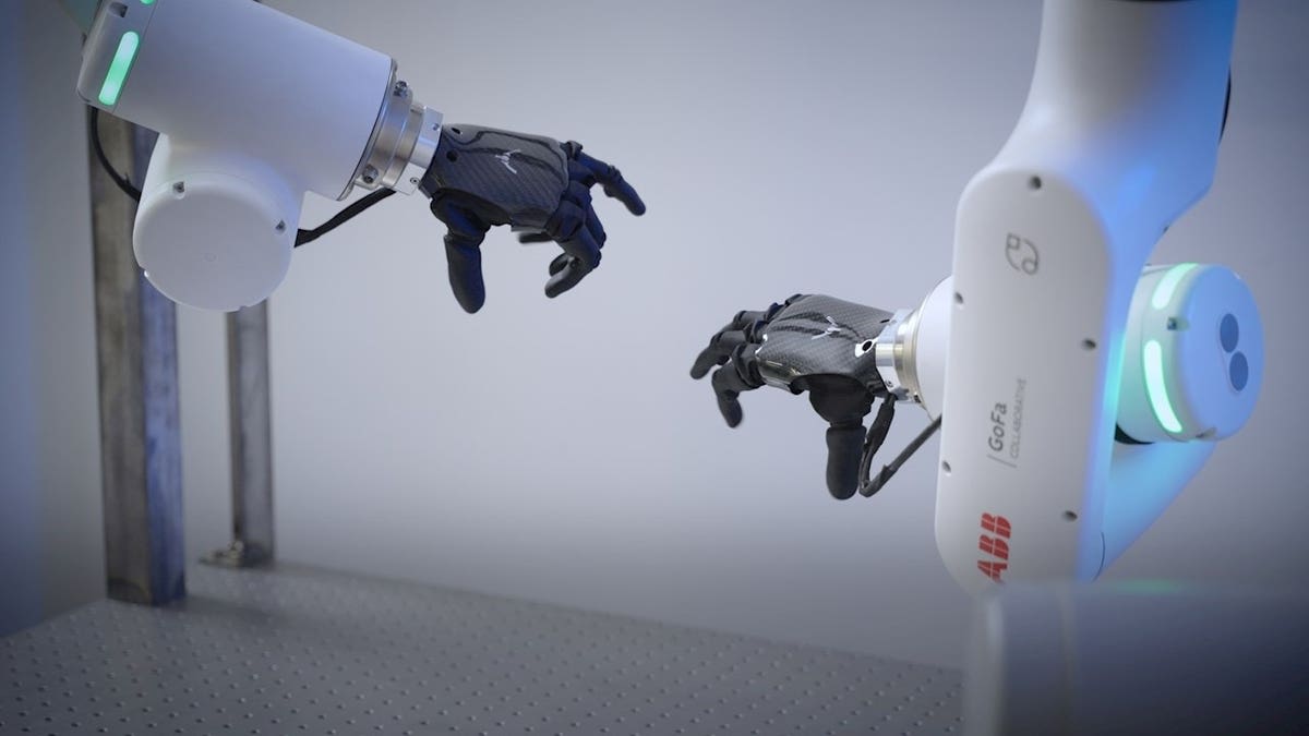 Bionic Hands Train Robots to Handle Delicate Objects - Image 4