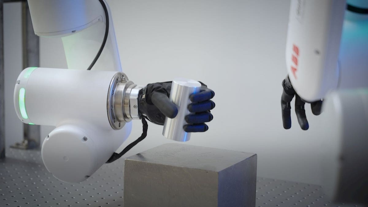 Bionic Hands Train Robots to Handle Delicate Objects - Image 5
