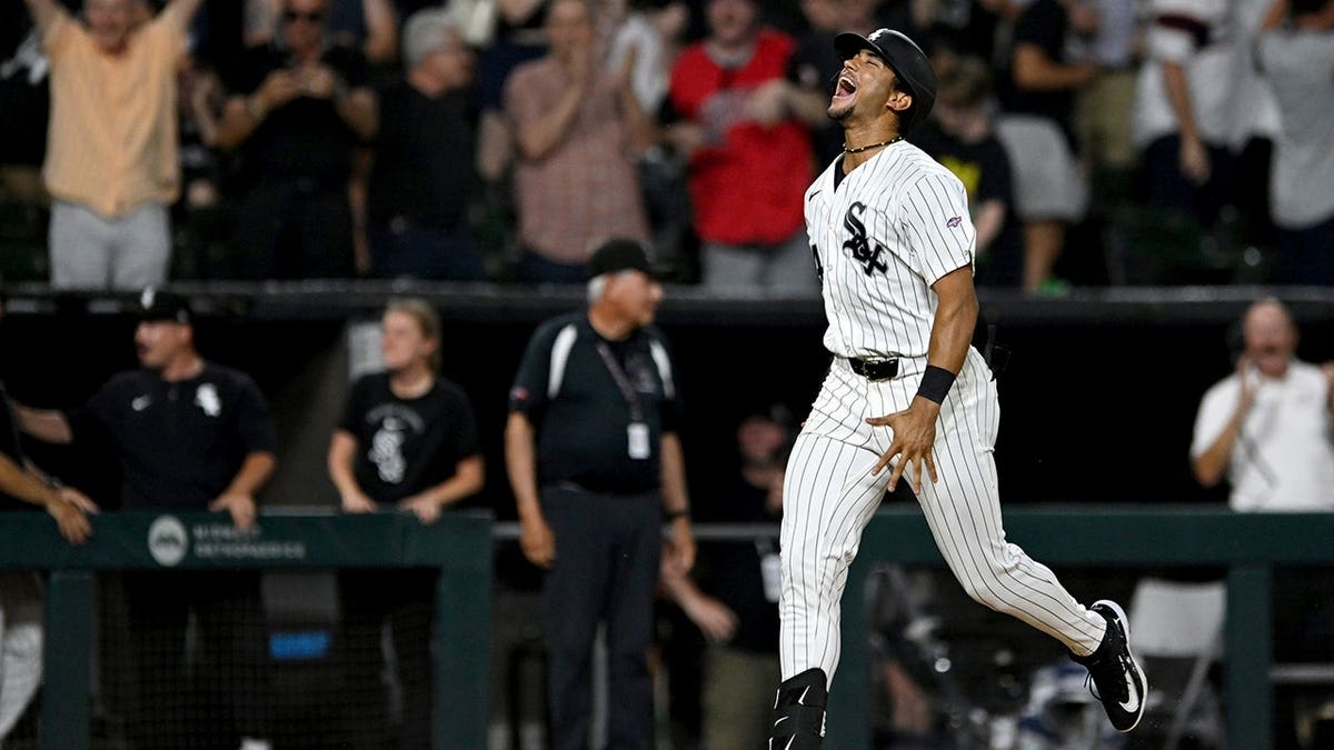 Rookie Hits Walk-Off Homer in MLB Debut for White Sox - Image 5