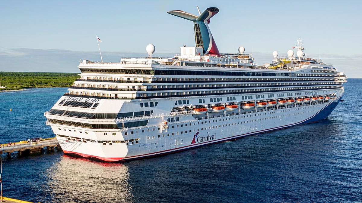 Cruise Passenger Dives In to Save Drowning 84-Year-Old - Image 3