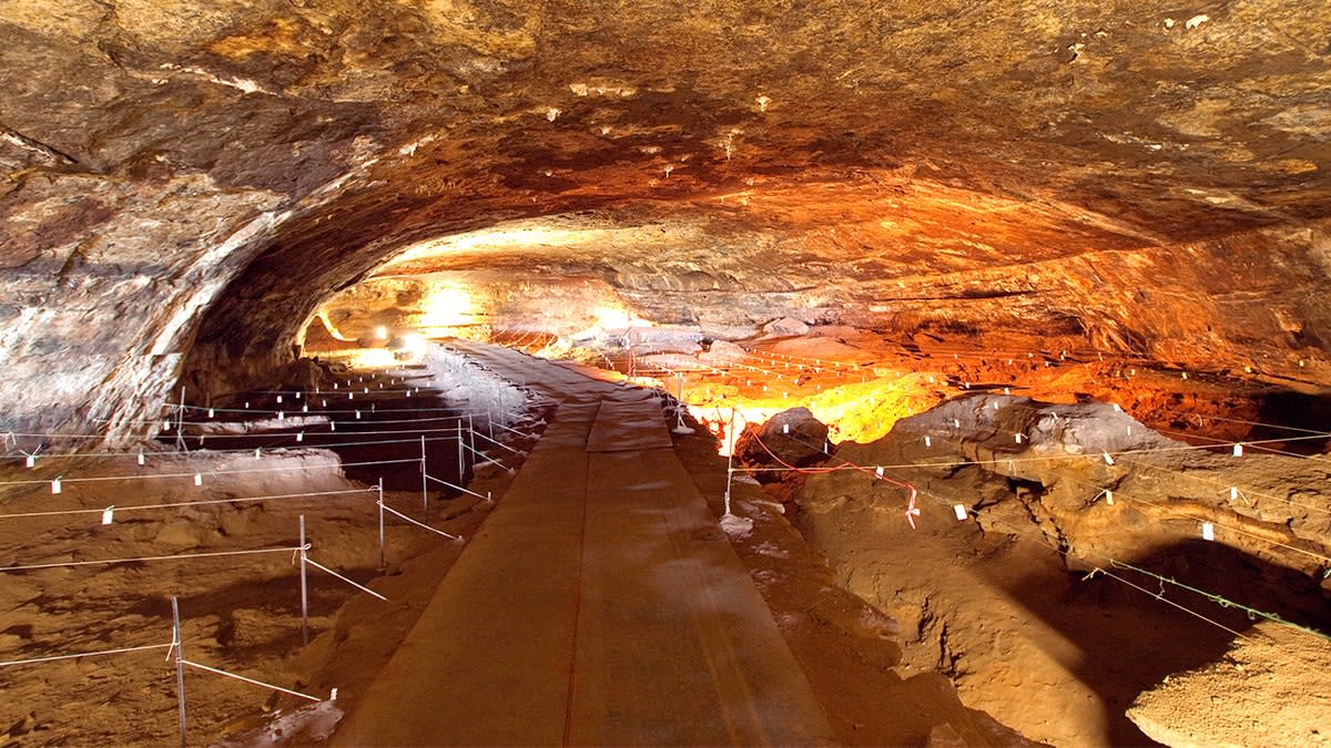 Fire Use by Human Ancestors Pushed Back to 1.79M Years Ago - Image 5
