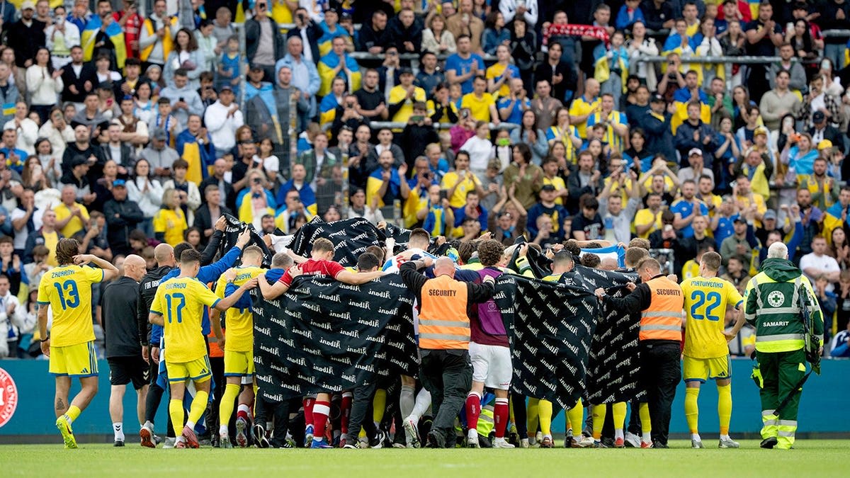 Soccer Star Eriksen Conscious After On-Field Collapse - Image 5