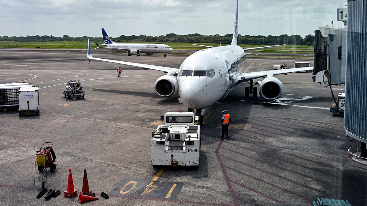 Navy Vet Raises $135K After Viral Airport Video - Image 5