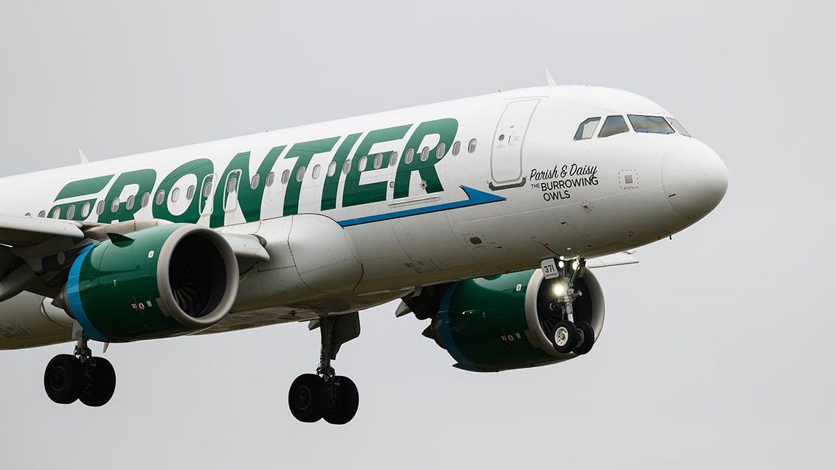 Passengers Stop Man Trying to Open Plane Door Mid-Flight - Image 4