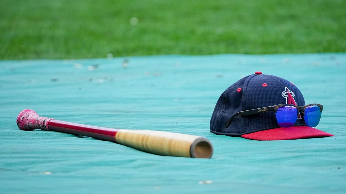 17-Year-Old Steals 8 Bases in One Game, Breaks Record - Image 5
