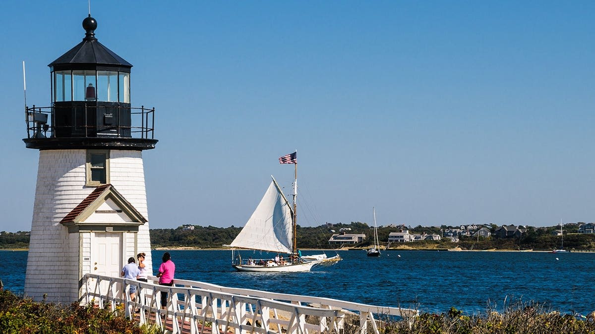 Nantucket Tests Antibody Mice to Fight Lyme Disease - Image 3