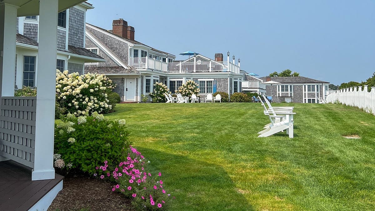 Nantucket Tests Antibody Mice to Fight Lyme Disease - Image 4