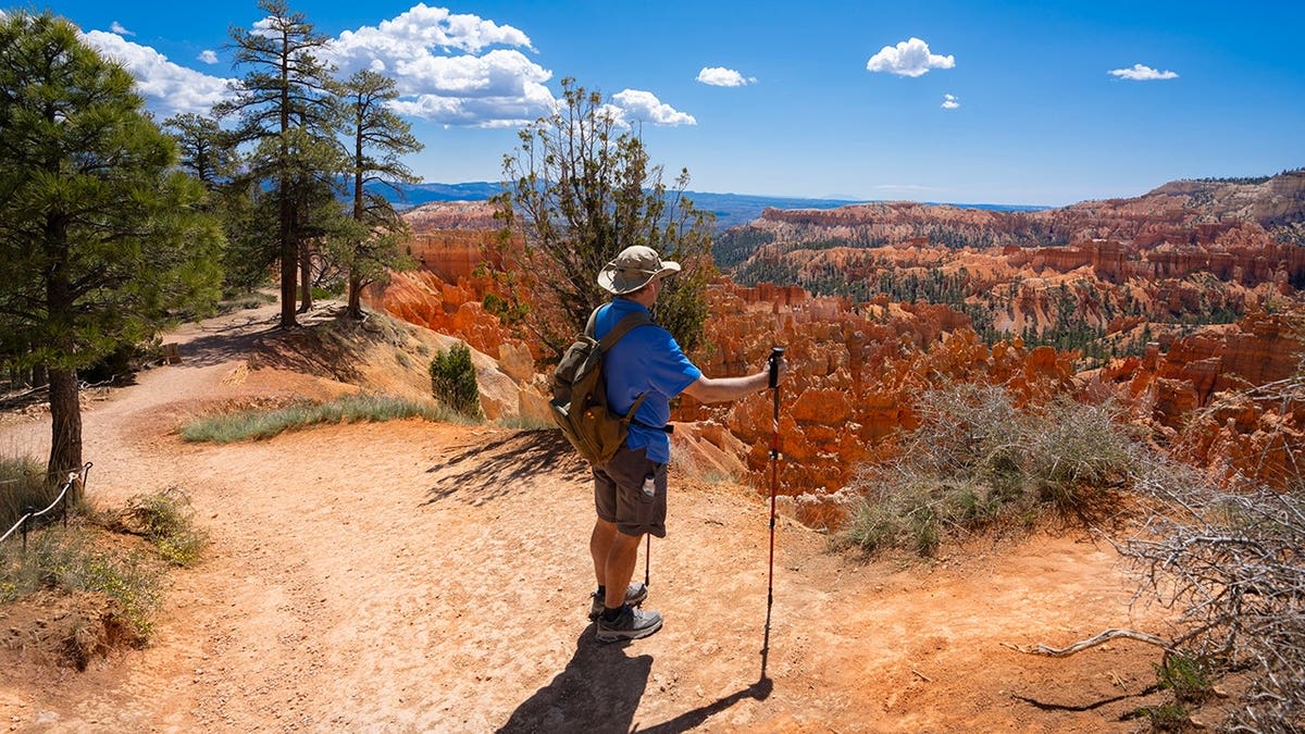 National Parks Add Years to Your Life, Science Shows - Image 5