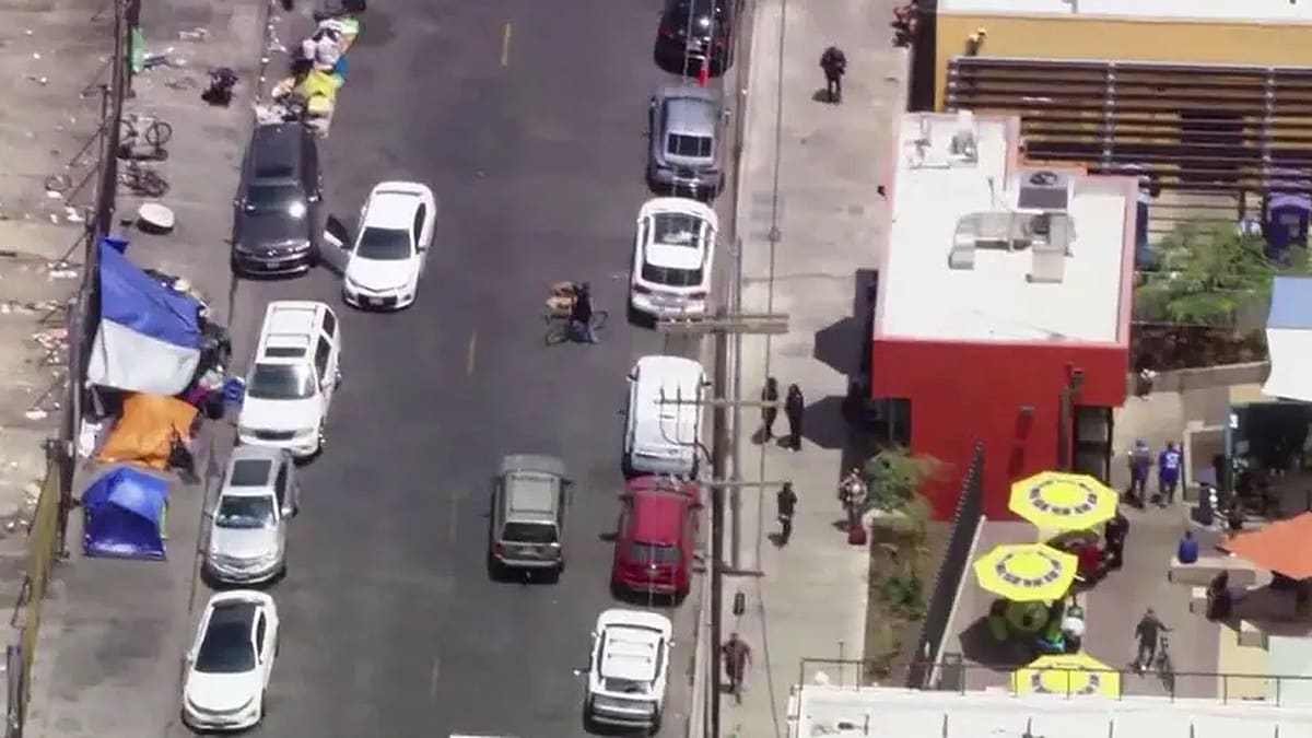 LA Reporter Stays Cool as Cockroach Crawls Up Her Neck - Image 5