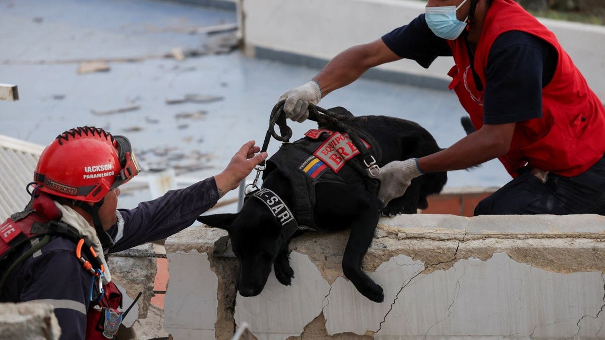 US Team Rescues 9-Month-Old From Venezuela Earthquake Rubble - Image 3