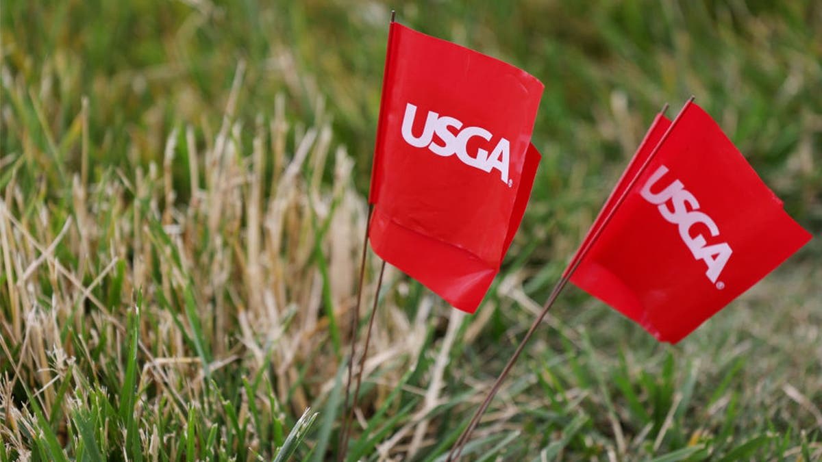 Golfer Aces Hole Right After Truck Confronts Him on Course - Image 5