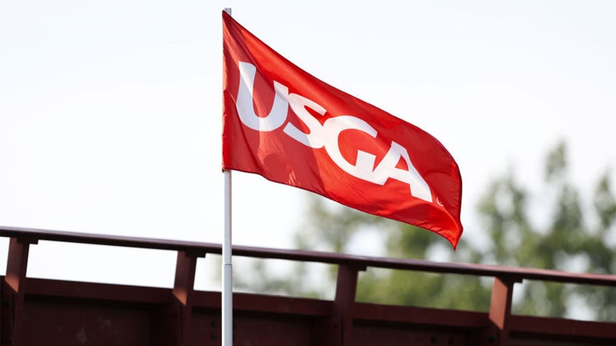 Golfer Aces Hole Right After Truck Confronts Him on Course - Image 4
