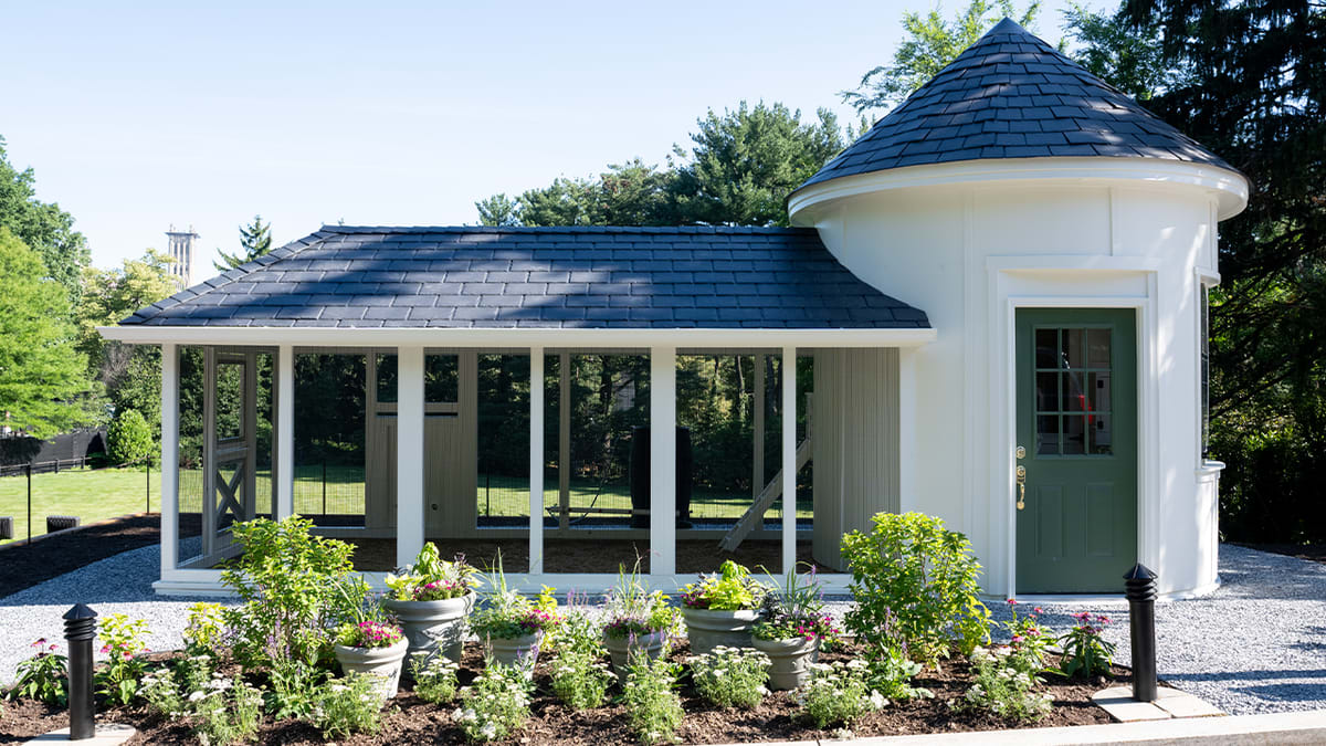 VP Vance Installs Custom Chicken Coop at Naval Observatory - Image 3