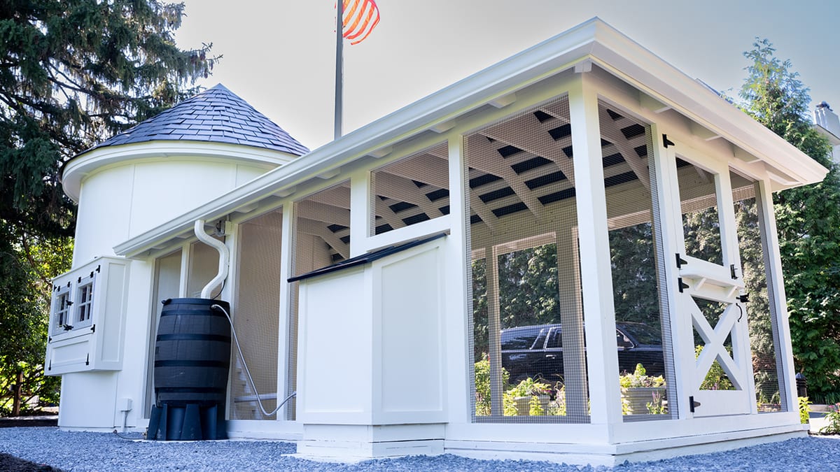 VP Vance Installs Custom Chicken Coop at Naval Observatory - Image 5