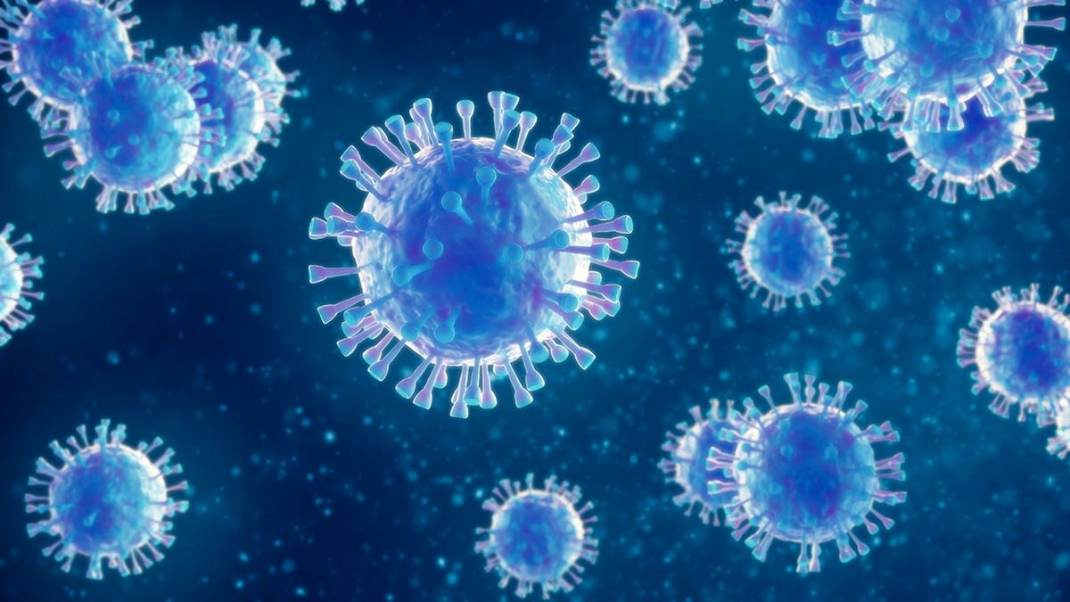 Lab Accident Reveals New Way to Stop Flu at the Source - Image 5