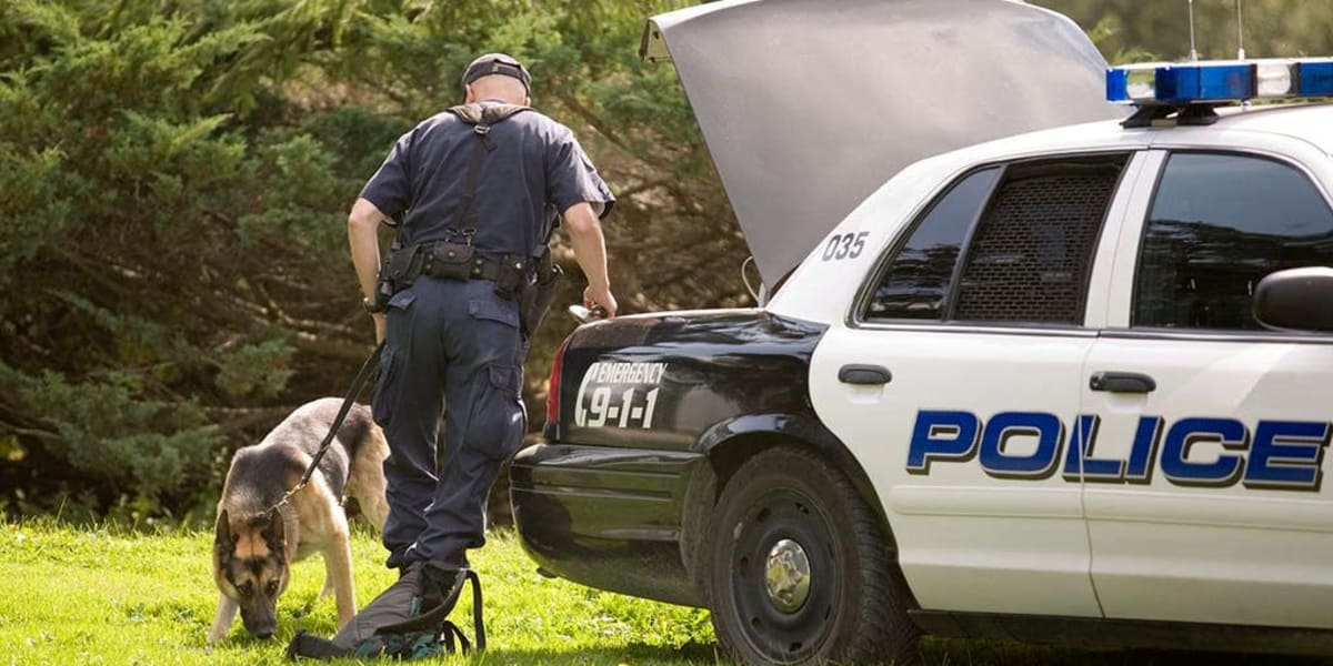 Texas DoorDash Driver Hit by Suspect's Car, Delivers Anyway - Image 2