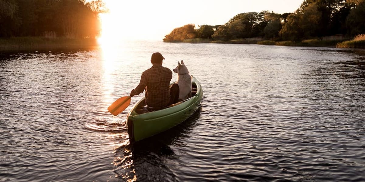 Cancer Survivor Canoes 2,000 Miles With His Dog After Cure - Image 2