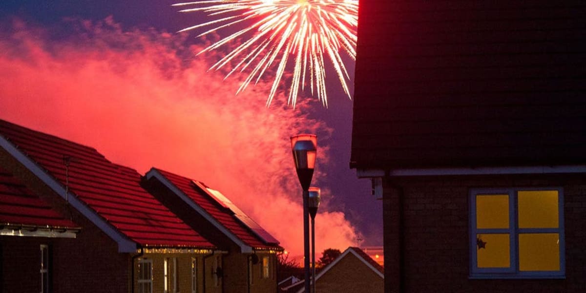Navy Vet Saves Two Homes from Firework Fire in Washington - Image 2